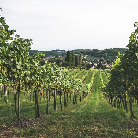 Wein & Gaestehof Erlacher Hartmannsdorf 외부 사진
