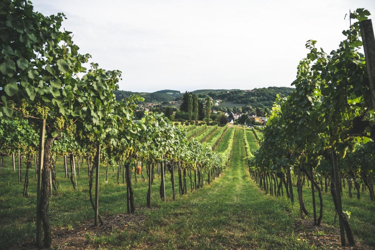 Wein & Gaestehof Erlacher Hartmannsdorf 외부 사진